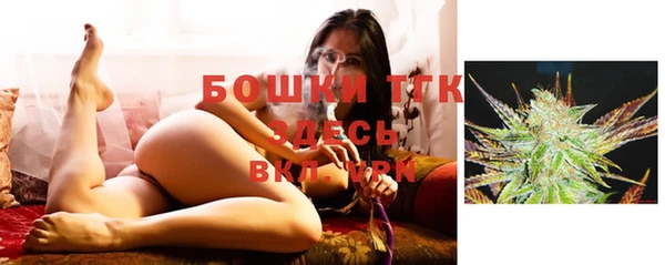 прущие грибы Волосово