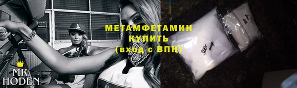 прущие грибы Волосово