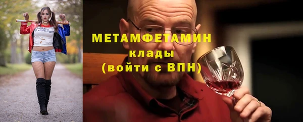 прущие грибы Волосово