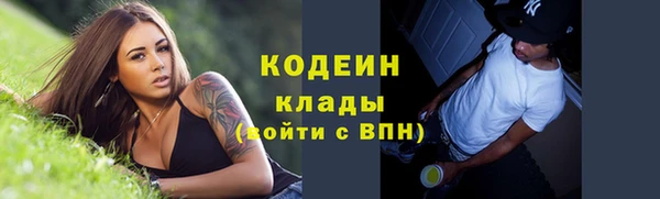 прущие грибы Волосово