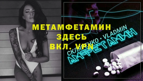 прущие грибы Волосово