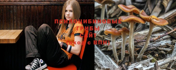 каннабис Володарск