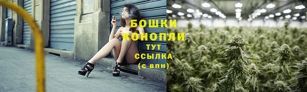 прущие грибы Волосово