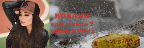 прущие грибы Волосово