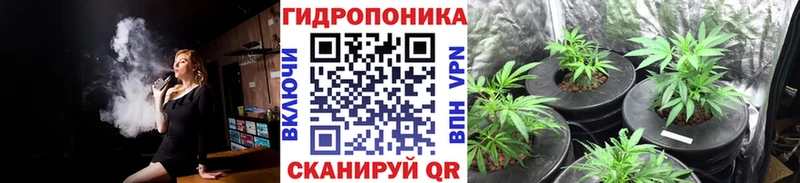 наркошоп  Питкяранта  МАРИХУАНА планчик 